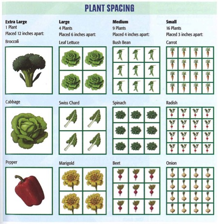 Plant Spacing Chart: All New Square Foot Gardening, Mel Bartholomew