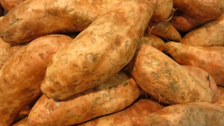 sweet potatoes 